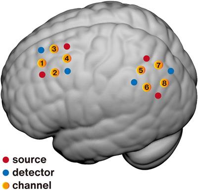 Functional Near-Infrared Spectroscopy Neurofeedback Enhances Human Spatial Memory